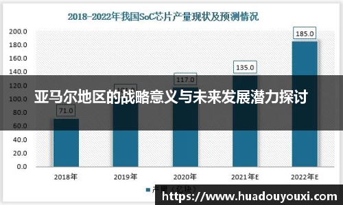 亚马尔地区的战略意义与未来发展潜力探讨